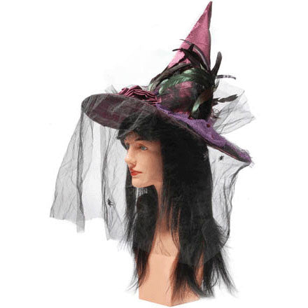 Witch hat with store veil