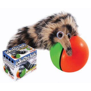 Buy Weazel Ball Motorized Ball Pet Toy Online at Low Prices in USA 